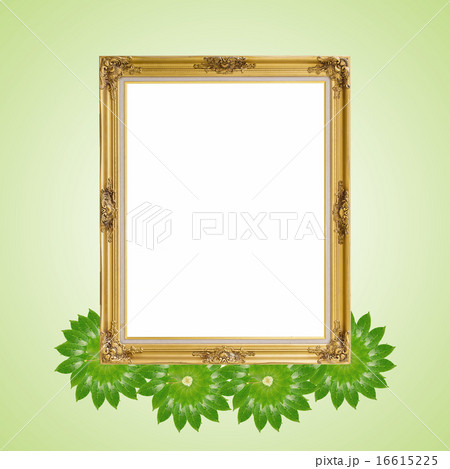 Gold louise and leaves photo frame isolated  16615225