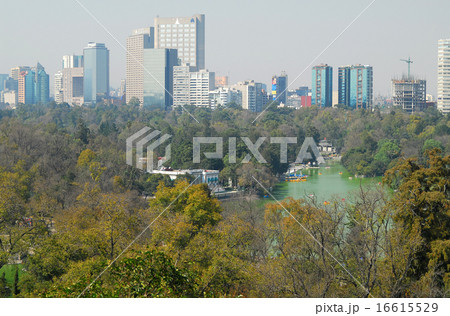 メキシコ　メキシコシティ　チャプルテペック公園から見た都心 16615529
