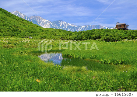鎌池の映り込み 鎌池の映り込み 16615607