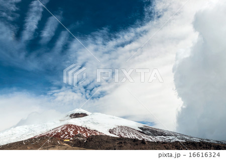 Cotopaxi volcano over the plateau, Andean 16616324