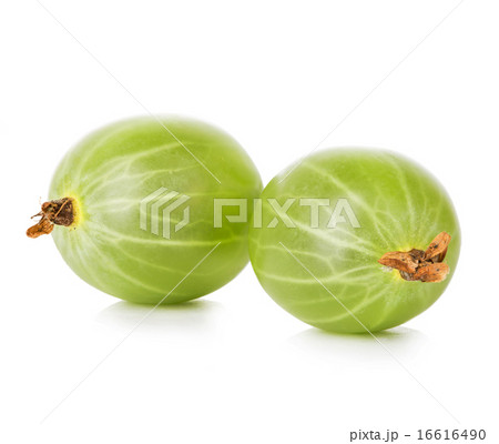 Gooseberries isolated on white background 16616490