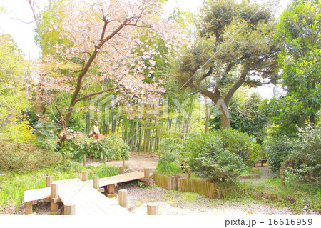 実篤公園 実篤公園 16616959