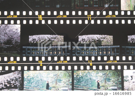 ポジフィルム ポジフィルム 16616985