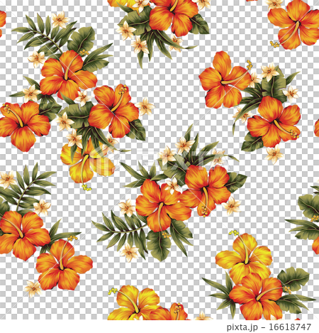 Hibiscus pattern 16618747