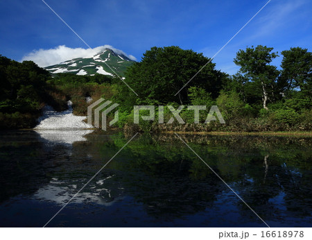 鳥海山山麓 夏の善神沼 鳥海山山麓 夏の善神沼 16618978