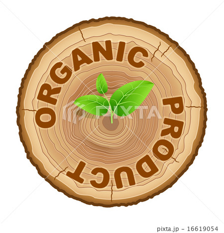 Icon of organic products.  16619054