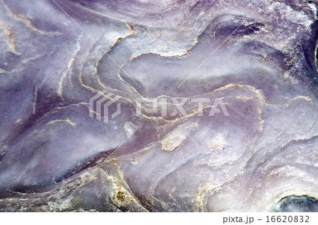 Charoite (Ca, K, Na) 3 Si4O10 (OH, F) H2O. Macro 16620832