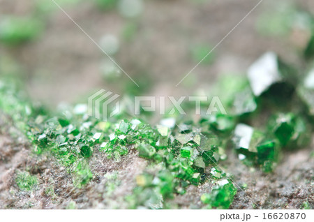 Uvarovite is a chromium-bearing garnet. Macro. 16620870