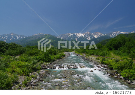 長野県白馬村　姫川上流の松川の清流と初夏の五竜岳～白馬三山遠望 16621778