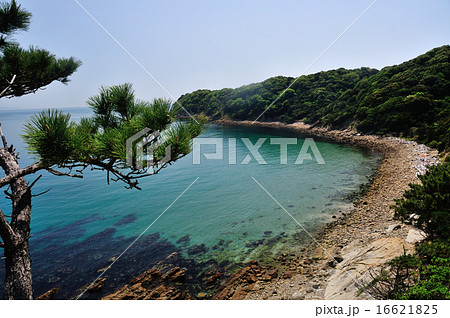 友ヶ島の海岸 友ヶ島の海岸 16621825