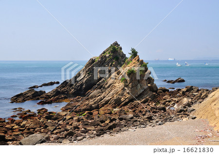 友ヶ島　幸助松の海岸 16621830
