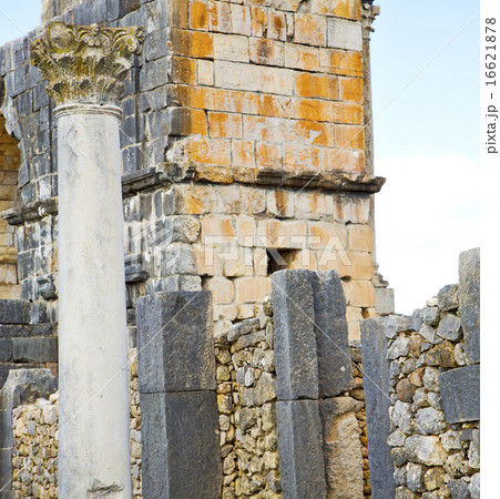volubilis in morocco africa the old roman  16621878
