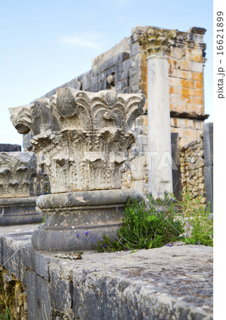 volubilis in morocco africa the   deteriorated  16621899