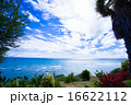 Blue Green White 16622112