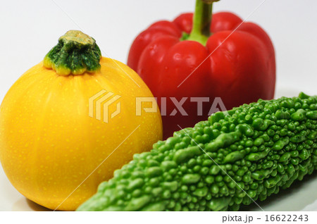 夏野菜 夏野菜 16622243