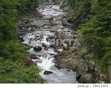 四季折々の自然の移ろいと鬼怒川渓谷の雄大な眺めは必見。 16622404