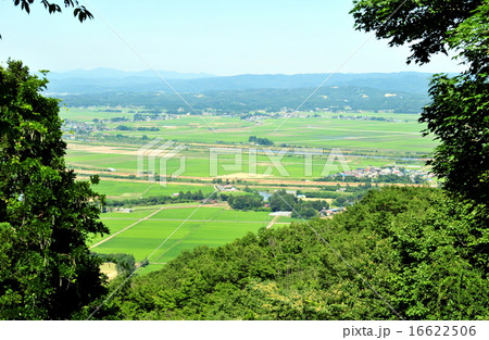 宮城県　涌谷町　篦岳山展望台からの水田 16622506