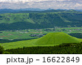 米塚 16622849