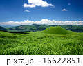 米塚 16622851