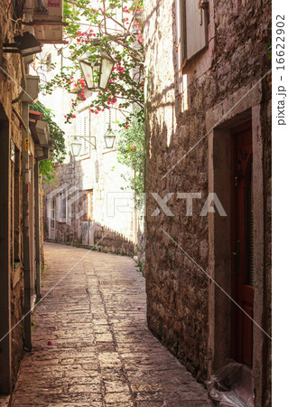 Old town Budva 16622902