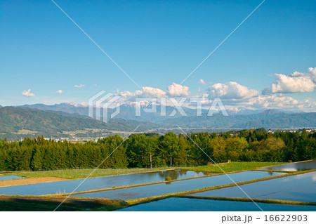 山と田んぼ 山と田んぼ 16622903