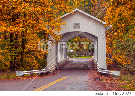 Covered Bridge 16622922