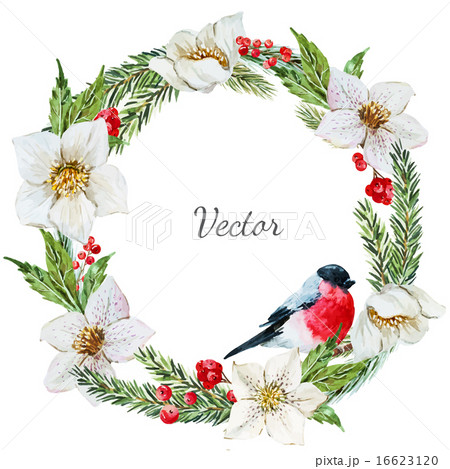 Christmas wreath Christmas wreath 16623120