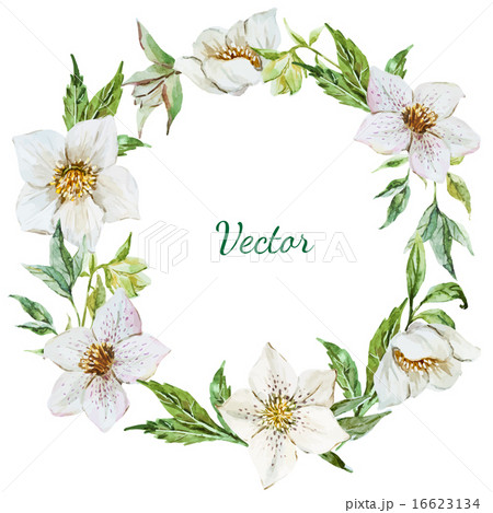 Christmas wreath Christmas wreath 16623134