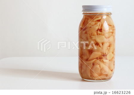 新生姜の甘酢漬け 16623226