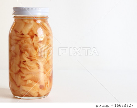 新生姜の甘酢漬け 16623227