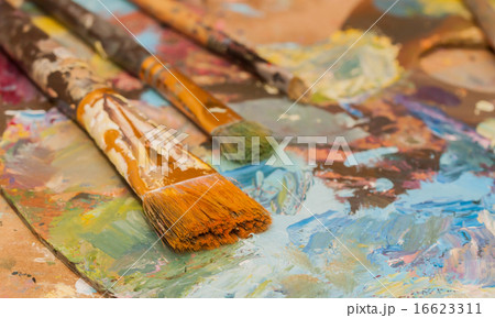 Paints brushes and oil paints 16623311