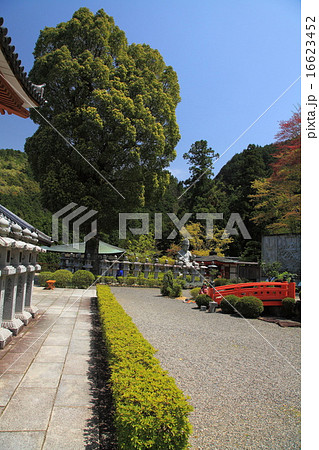 春の壷阪寺 16623452