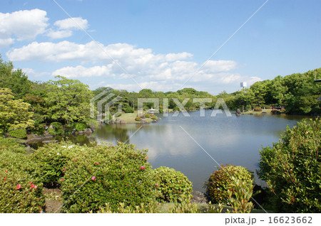 青空の日本庭園 16623662