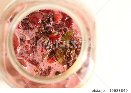 手作り酵素ジュース 16623849