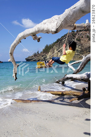 ブランコに乗る子供と境浦海岸の風景（父島） 16623870