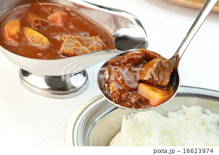 カレーライス 16623974