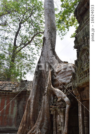 アンコール遺跡 16624033