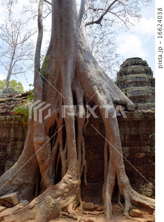 アンコール遺跡 アンコール遺跡 16624038