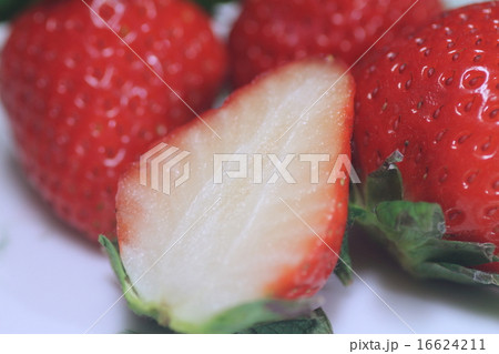 食べごろのイチゴ 食べごろのイチゴ 16624211