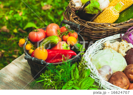 Vegetables on wooden table 16624707