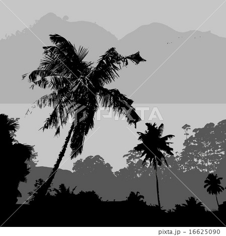 tropical landscape scenery with hills and palms  16625090