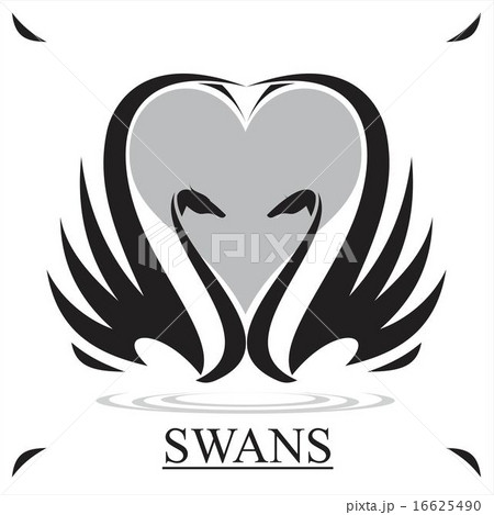 Swan. Black Swan Swan. Black Swan 16625490