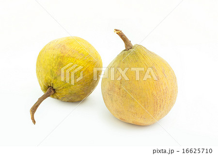 Santol tropical fruit on white 16625710