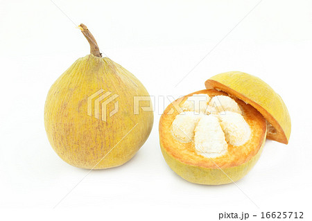 Santol seed tropical fruit on white 16625712