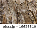 Wood texture 16626319
