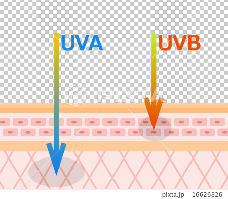 UV damage 16626826