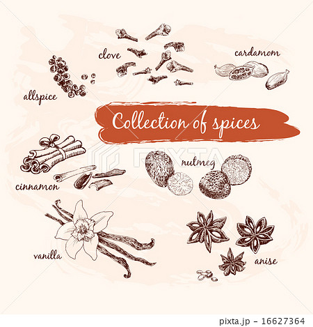 Collection of spices 16627364