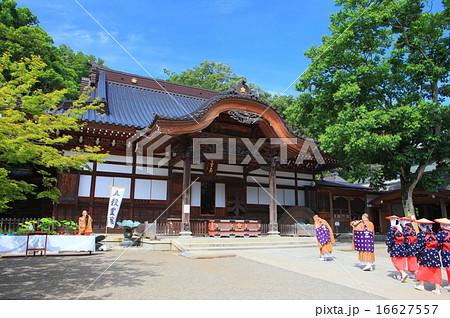 新緑の深大寺　本堂 16627557