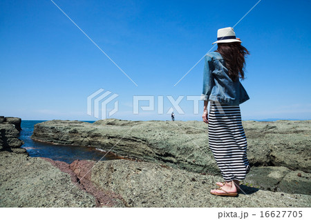 風の海岸 16627705