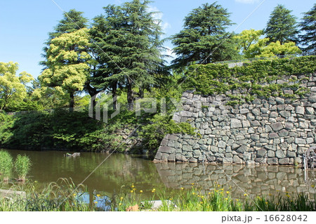 京都 淀城跡 京都 淀城跡 16628042